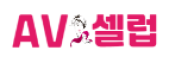 AV셀럽